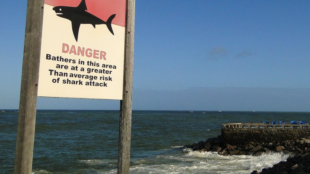 Sign Warning Bathers of Shark Danger