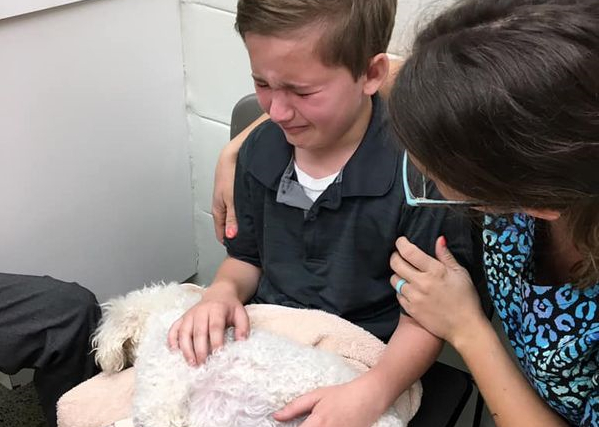 Familiens hund skal aflives: Så siger deres adoptivsøn noget som får alle til at stoppe op