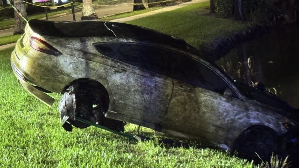 Missing for 10 years: Florida man’s skeletal remains found in pond