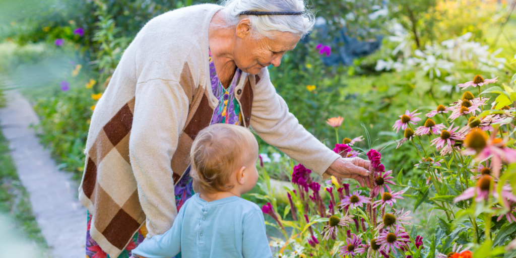 børnebørn barnebarn bedsteældre have børn elderly senior ældr