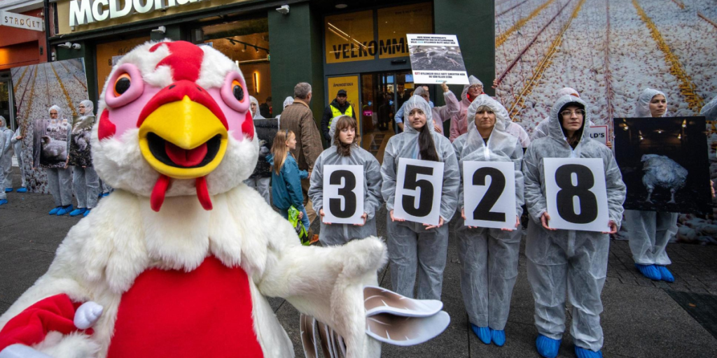 Sjokkstunt i Oslo: McDonald’s ble til kyllingfarm
