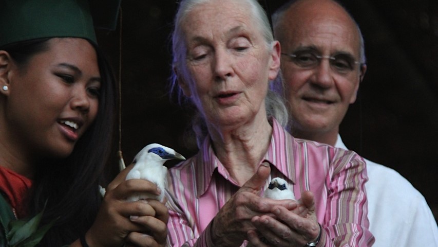 Dr Jane Goodall
