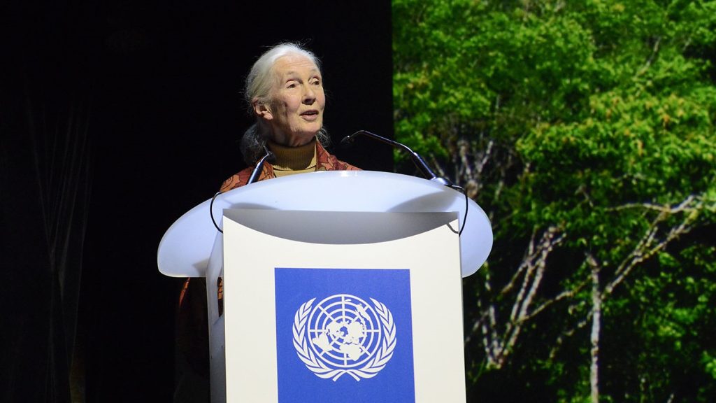 Jane Goodall
