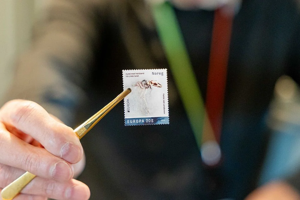 Europas fineste frimerke, frimærke, stamp, frozen dog
