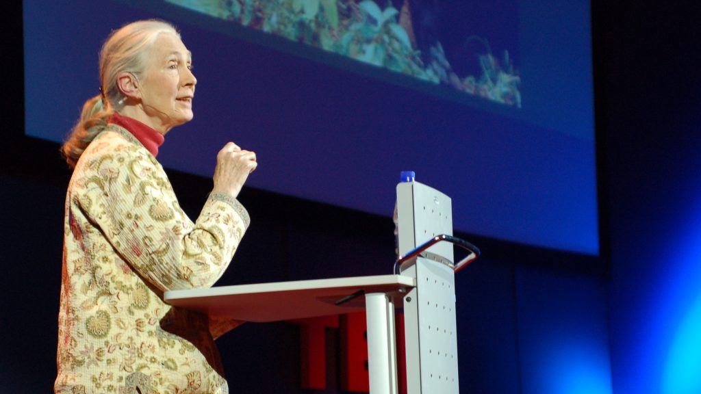 Jane Goodall