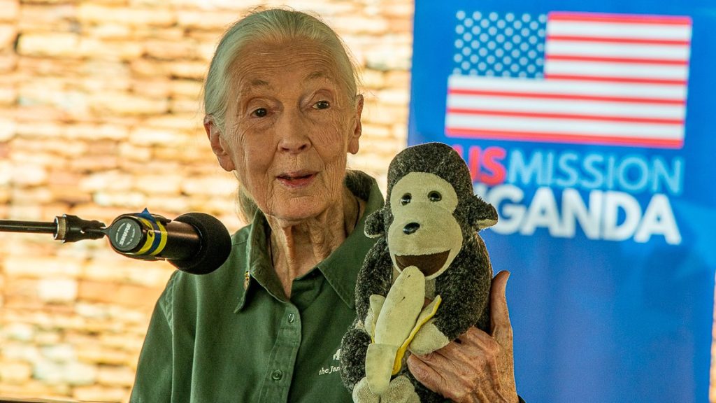 Jane Goodall