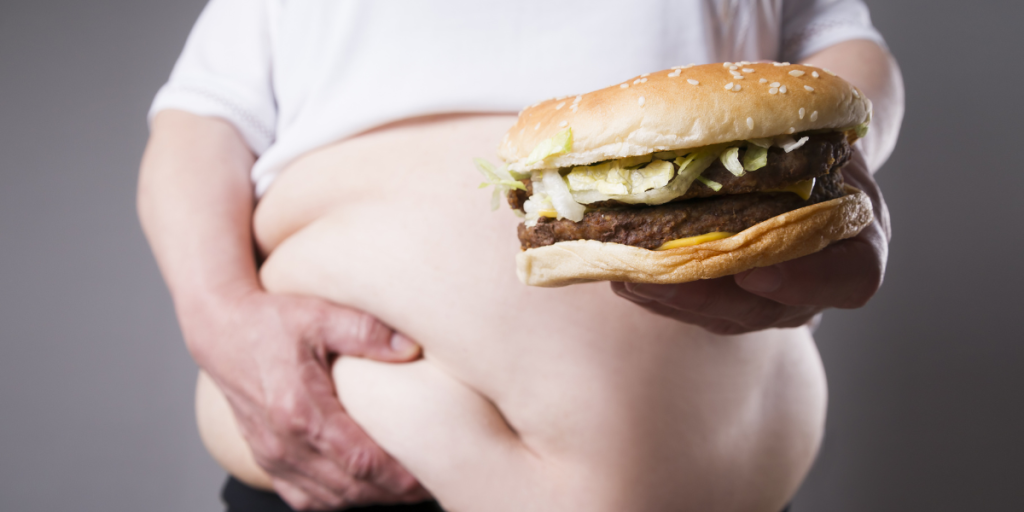 Fedme, fat, junkfood, burger