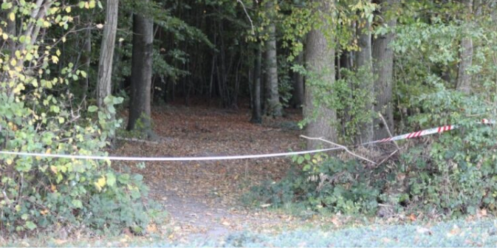 Menneske-skelet, skov