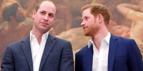 Prince harry and willliam
