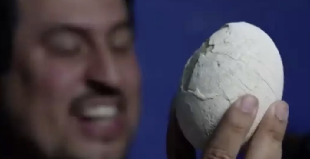 dinosaur egg argentina science team