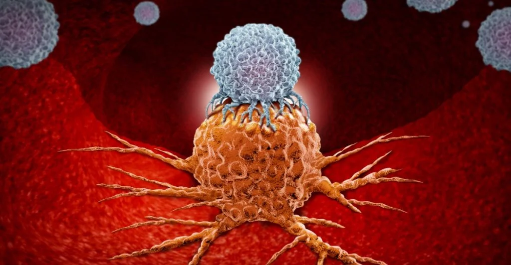 T-cells, t-celler