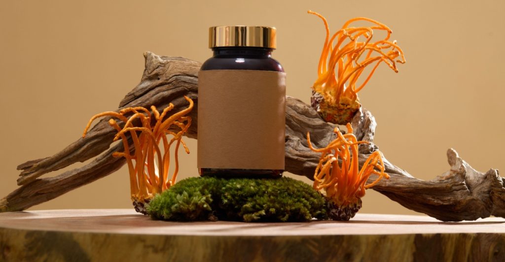 Svamp, cordyceps, kosttillskott, kosttilskud