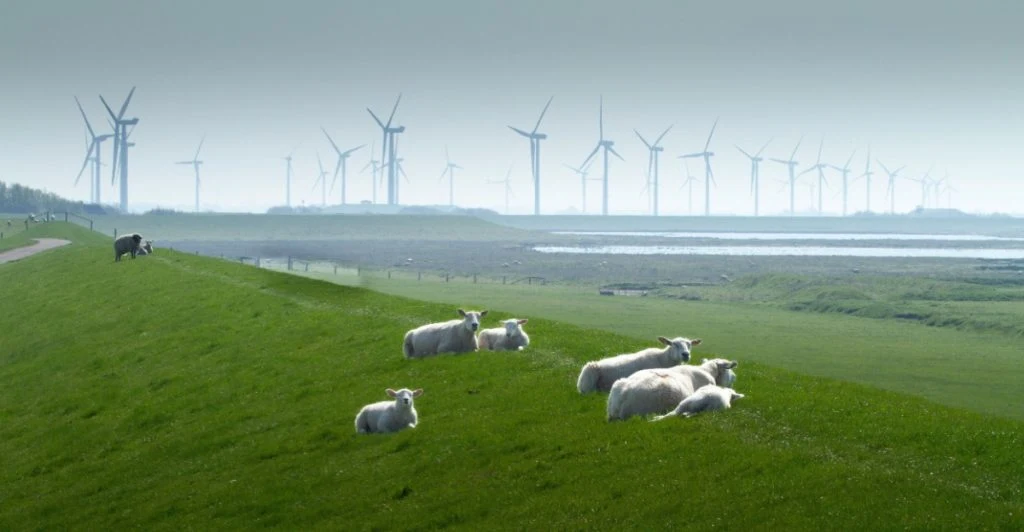 Vindkraftverk, vindmøller