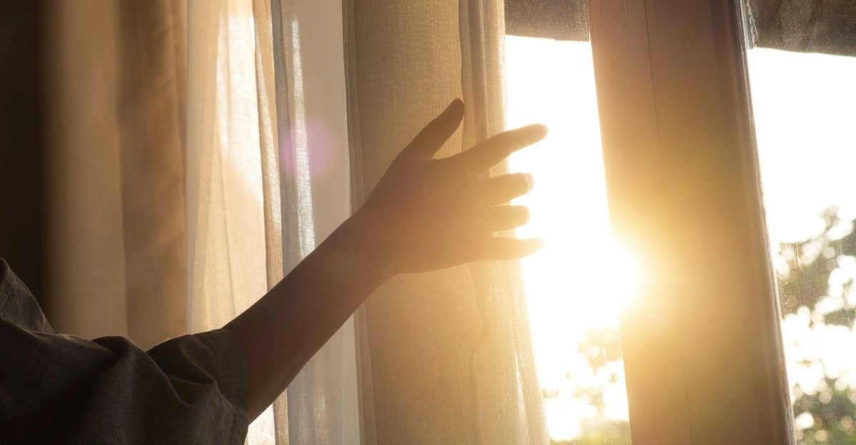Open curtains, sunlight, solljus
