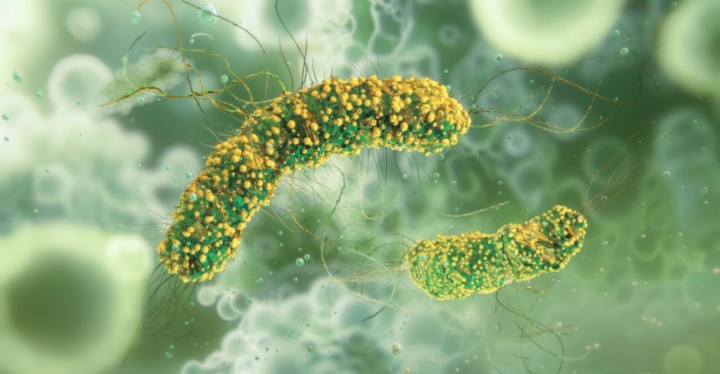 Professor varnar: Jakten på trendig mat kan öka risken för listeria