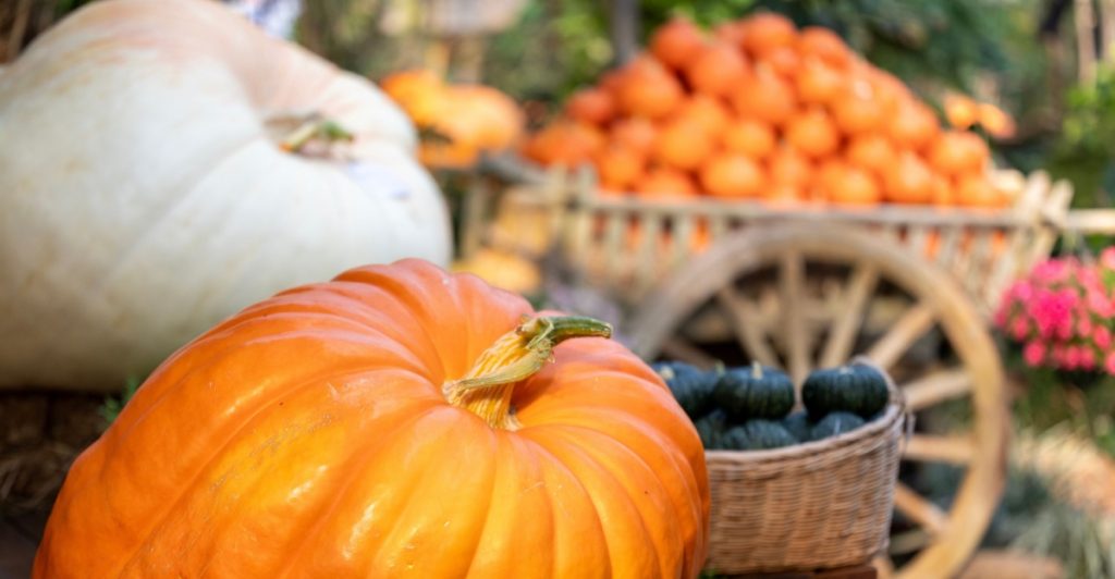 Marknad, market, pumpkins, pumpor