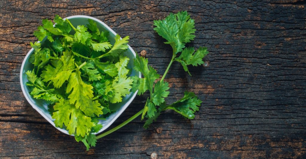 Coriander, korriander