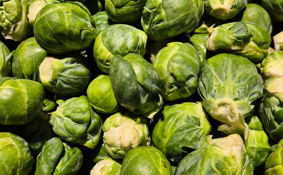 Rosenkål, brussels sprout, vegetables, grøntsager