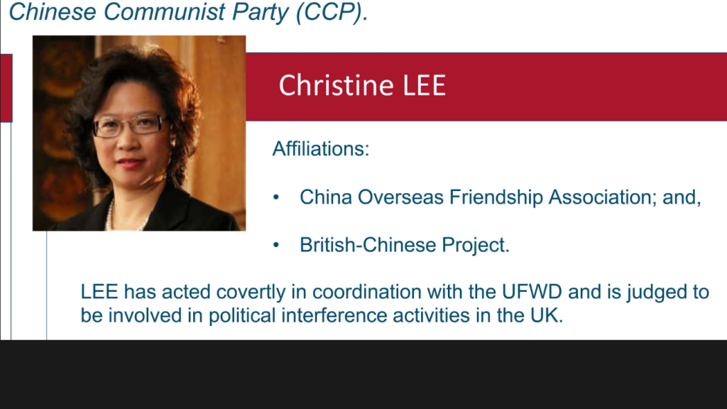 Christine Lee