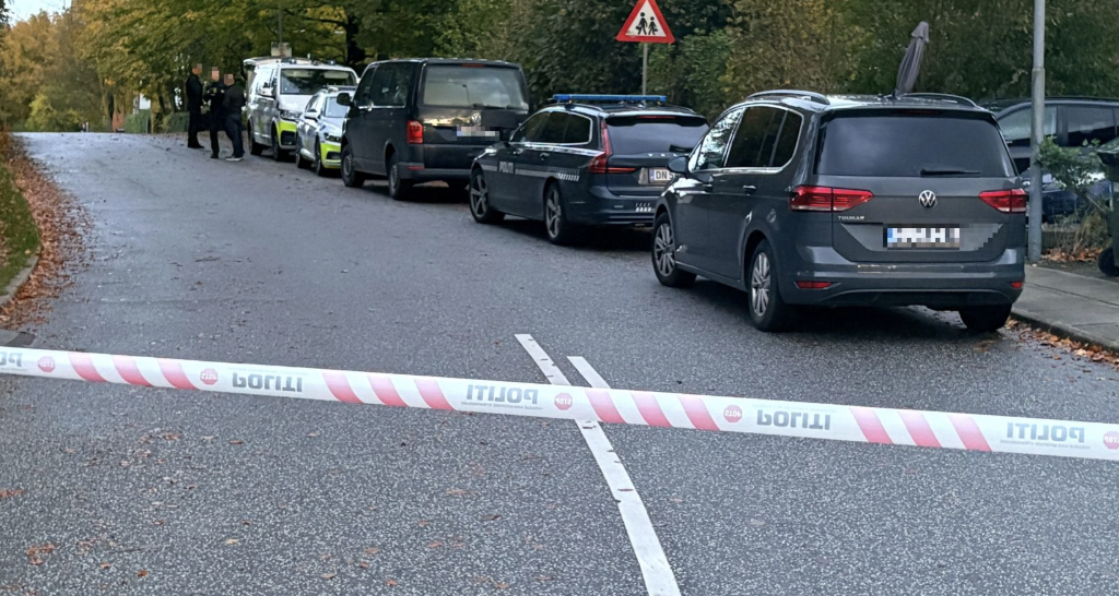 Politiet leder med droner og helikopter efter forsvundet lille pige: Set stige ind i varebil