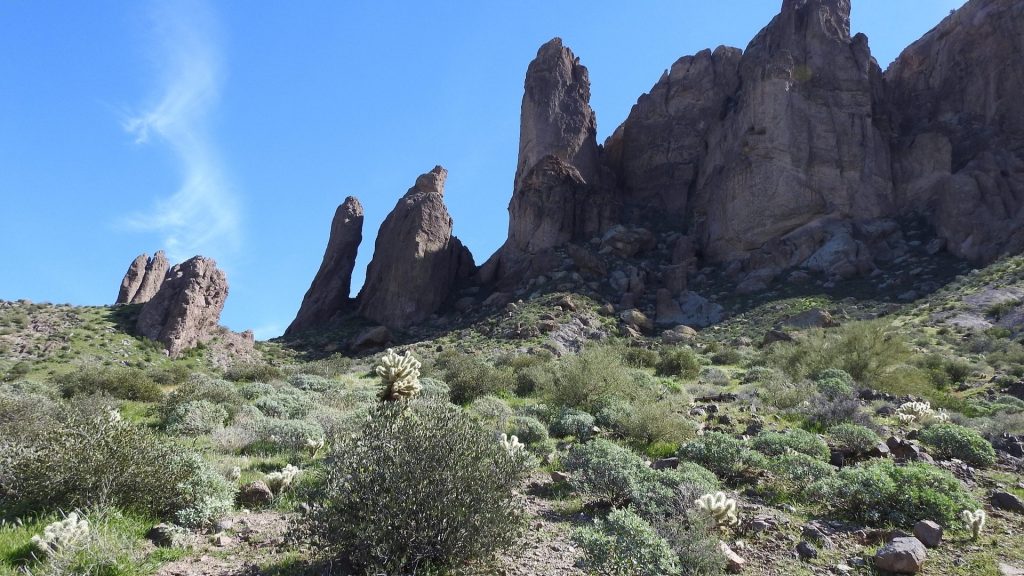 arizona