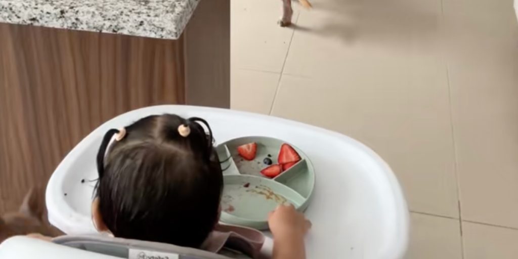 Mor var sikker på, at baby spiste op: Men videoovervågningen viste en helt anden virkelighed