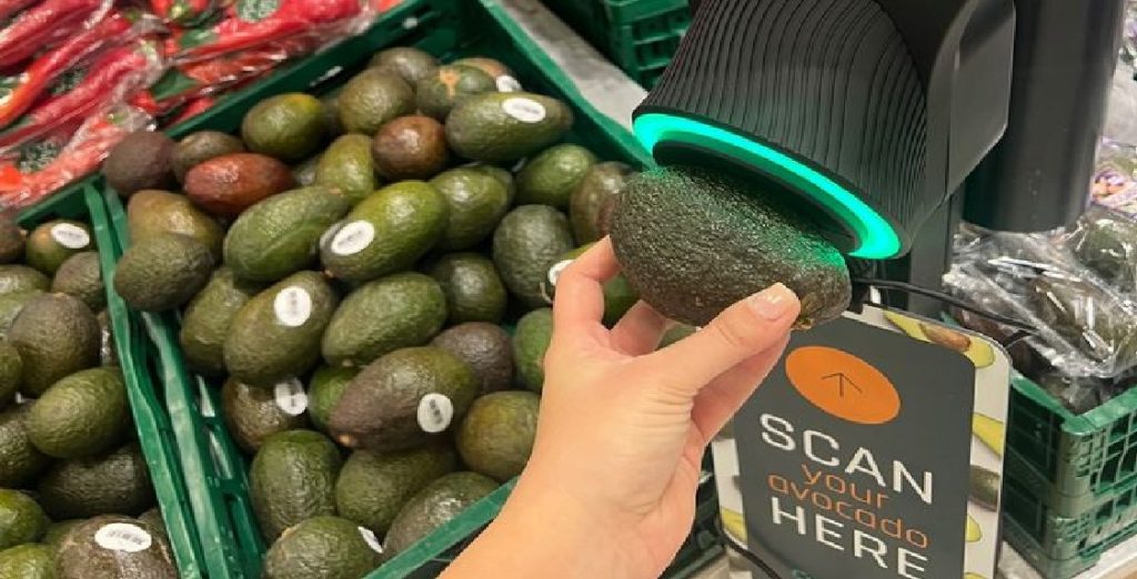 bilka avocado 1