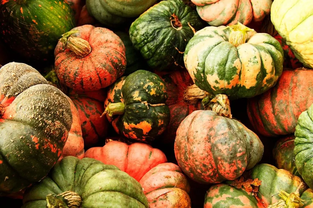 Pumpkin