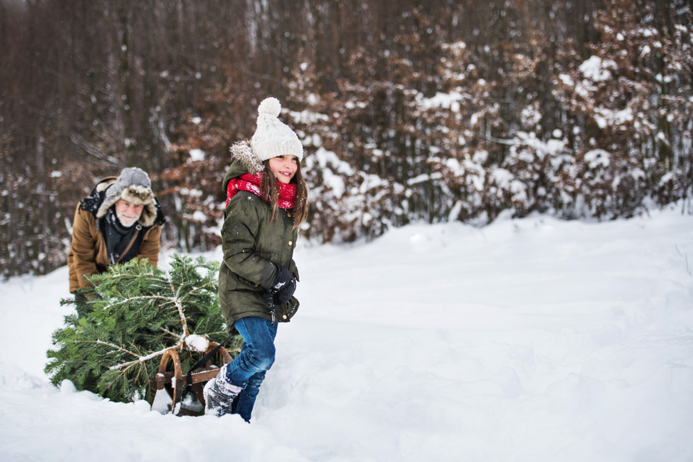 White christmas, snow, christmas tree, juletræ, juletre, sne, snø, hvid jul, hvit jul