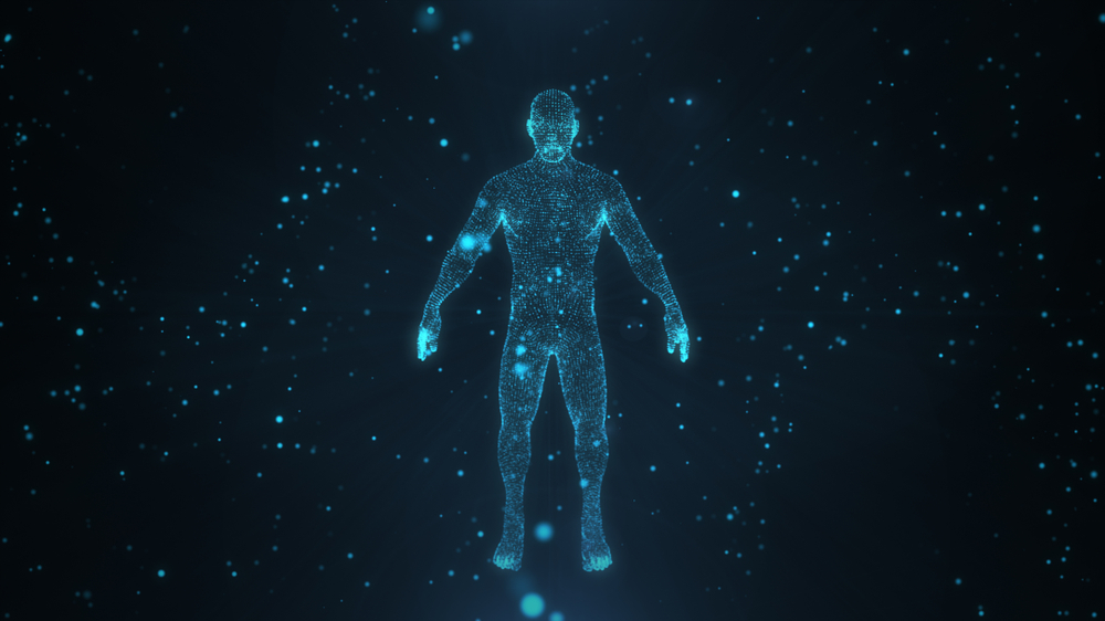 Human body, menneske, krop, graphic, health, healthy, medicine, science, medicin, videnskab