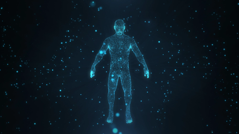 Human body, menneske, krop, graphic, health, healthy, medicine, science, medicin, videnskab