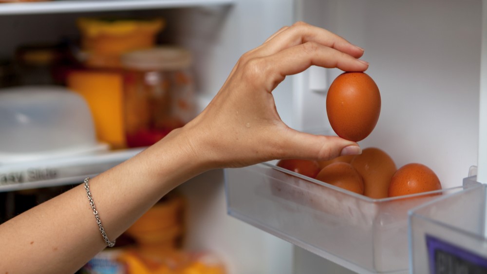 egg