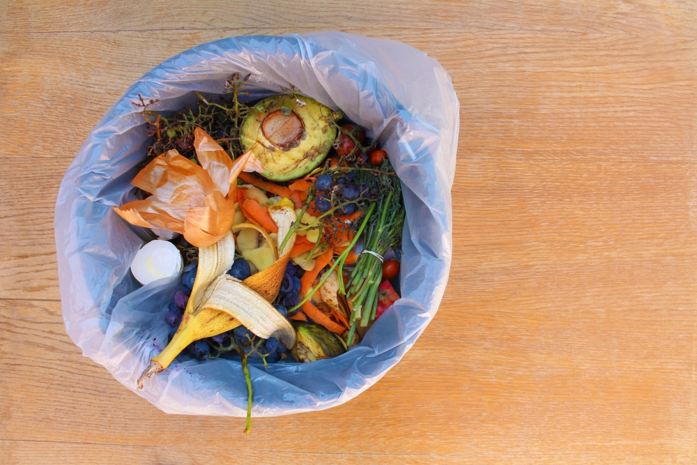 Compost,kompost,madaffald,food,garbage,affaldsspand