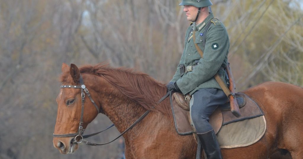 soldier horse