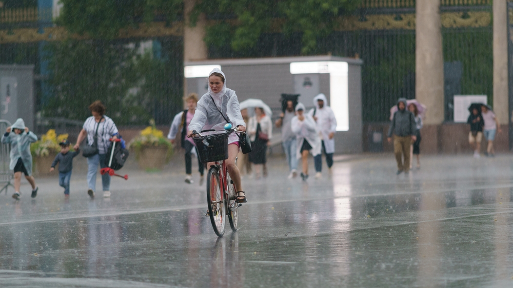 regn, rain