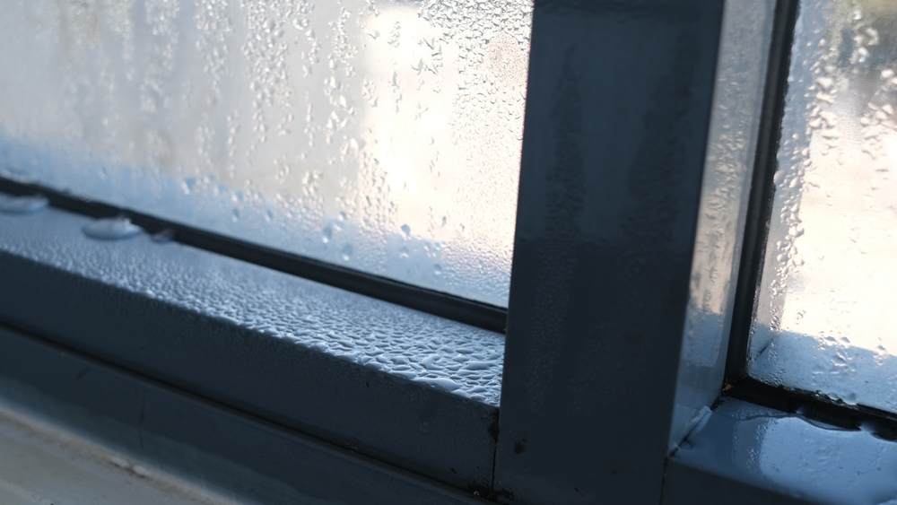 Window, kondens, vindue