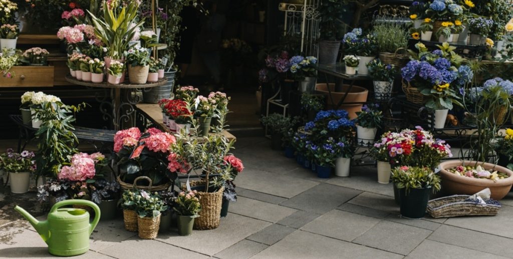 blomsterbutik, flower store
