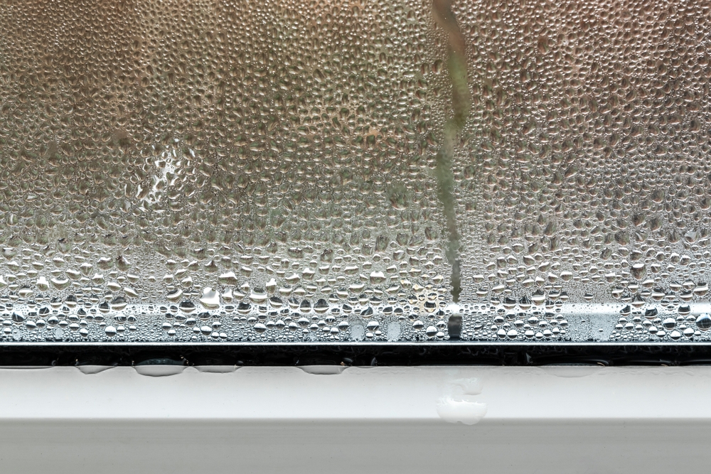 Window, kondens, vindue
