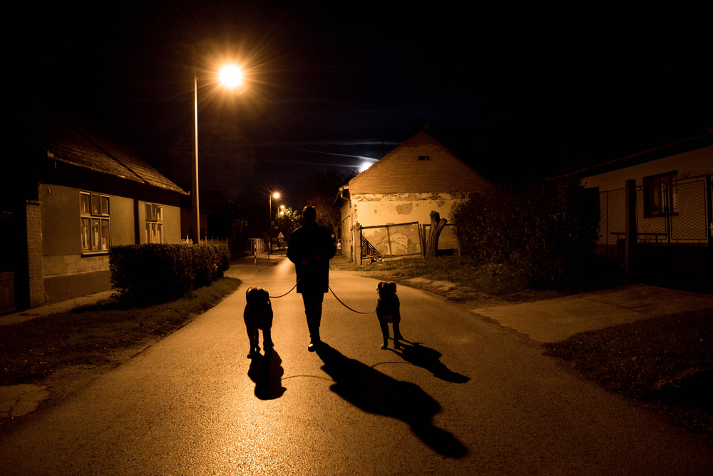 Silhouette,Of,Man,Walking,With,His,Dogs