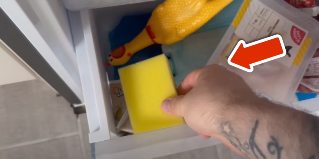 Smart løsning på overset problem: Derfor bør du lægge en køkkensvamp i fryseren