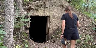 Par tager på skovtur: Ender med at gøre forbløffende fund skjult mellem træerne