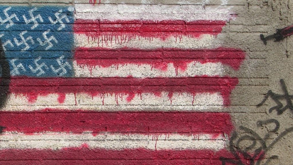 American Flag swastika