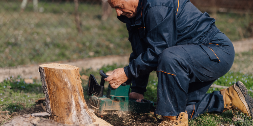 Træ have ældre tree