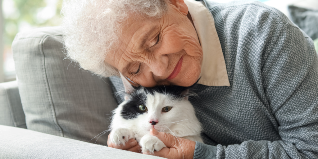 cat Kat kæledyrsejere dame elderly ældre senior