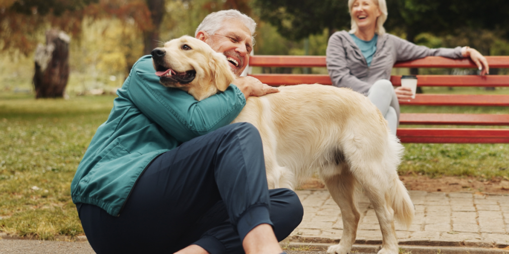 dog hund kæledyr kæledyrsejere senior ældre