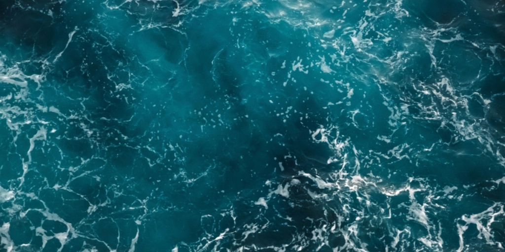 “En global advarselslampe”: Forskere er dybt bekymret for det, der sker i Atlanterhavet