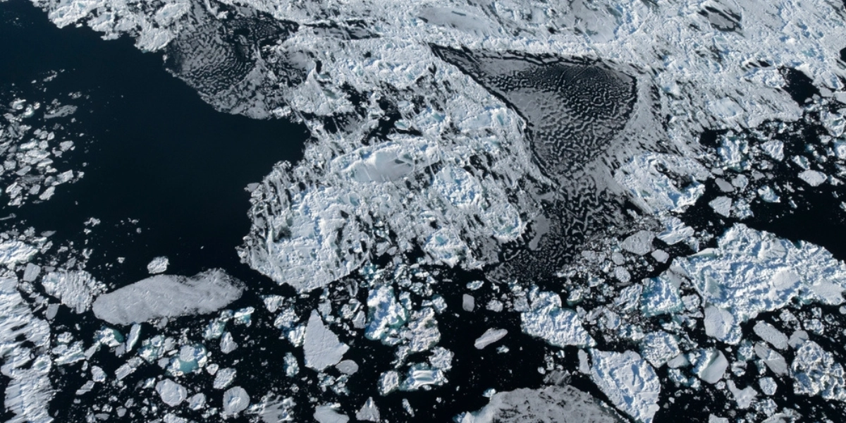 Arktis-Arctic