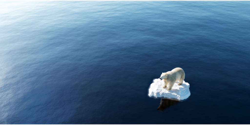 Arktis-Arctic-Climate change