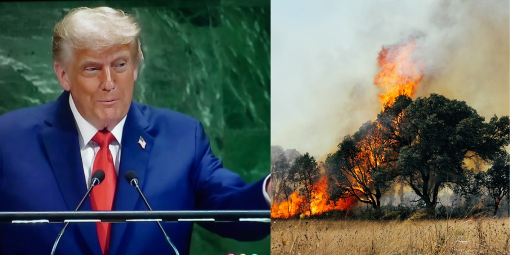 Trump og klima- Trump and Climate