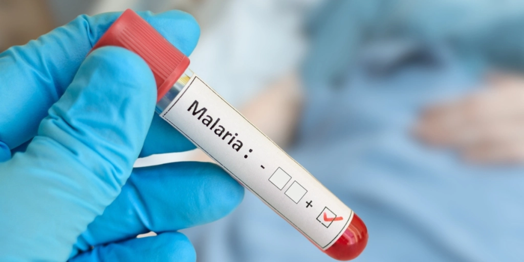 Malaria